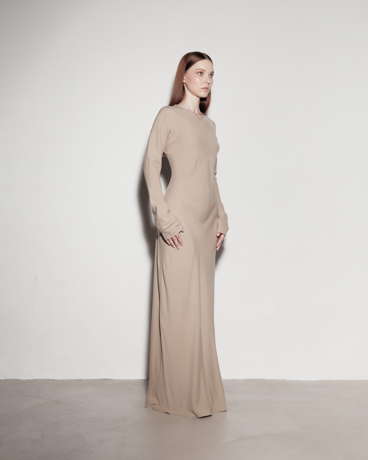 Long-sleeved dress. Ordinary
