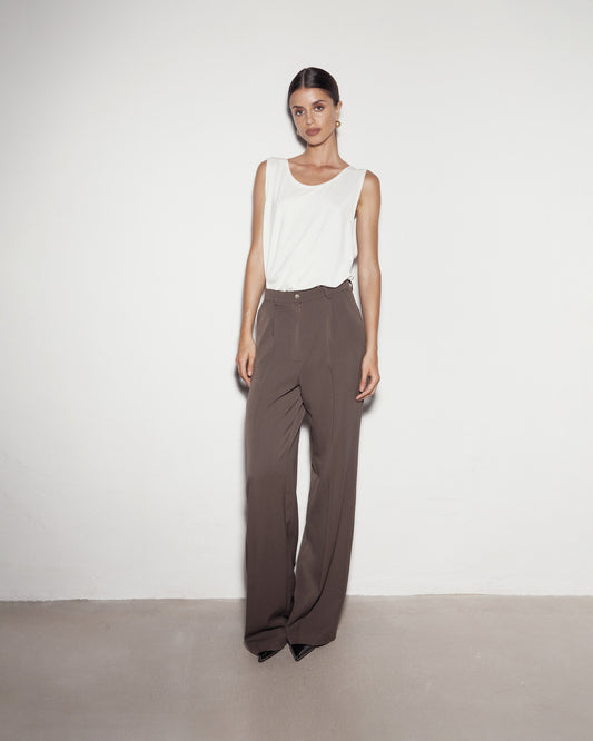 Classic pants. Brown