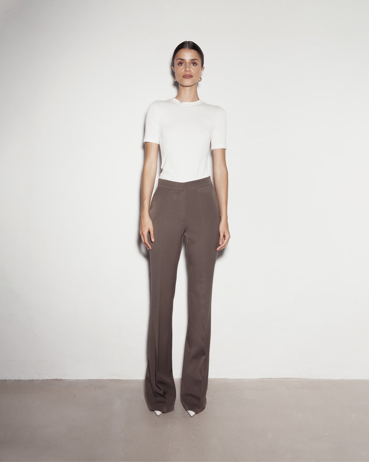 Elegant pants. Brown
