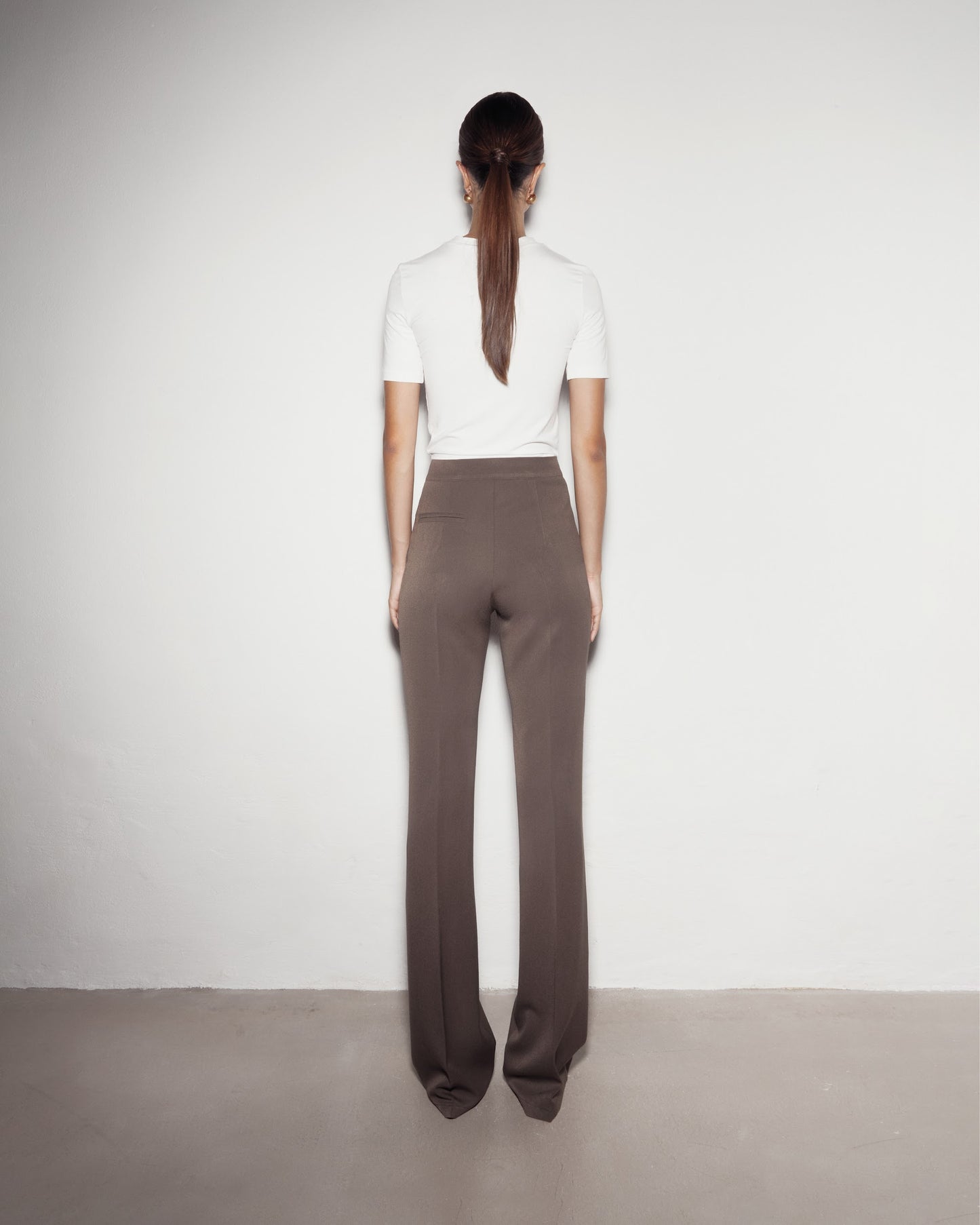 Elegant pants. Brown